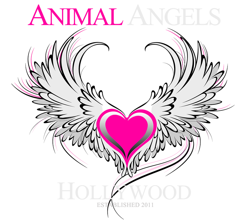 Animal Angels